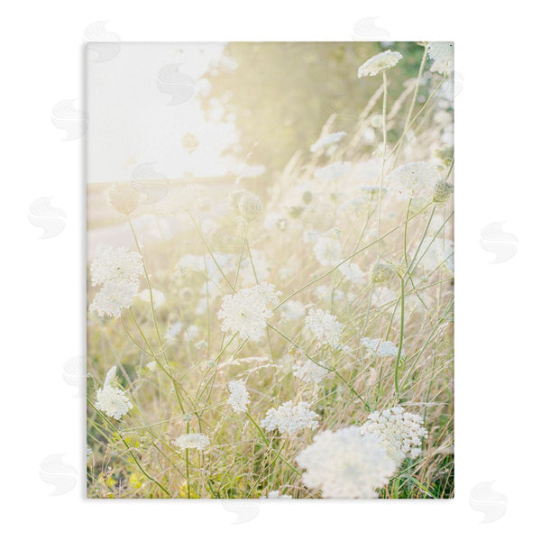 stupell industries Leah Straatsma | Sunlit Meadow Blooming Wildflowers Wall Art