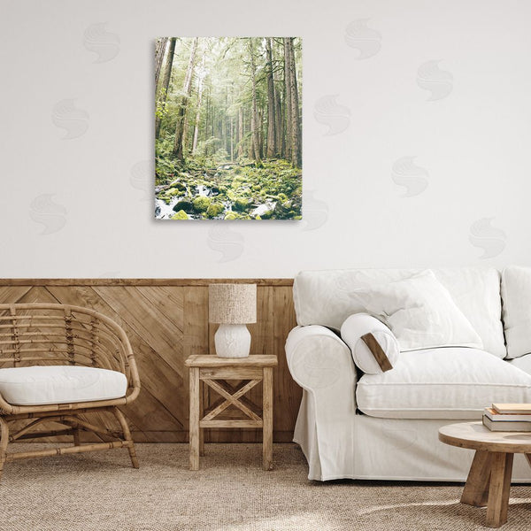 Stupell Industries Leah Straatsma | Verdant Forest Glow Wilderness