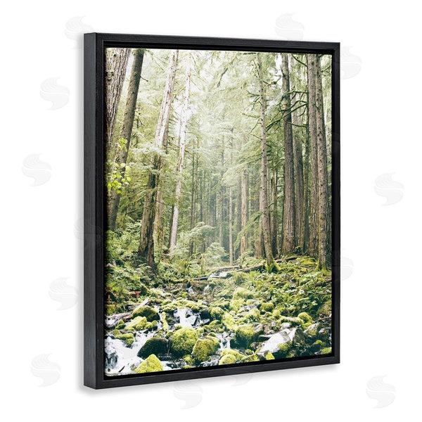 Stupell Industries Leah Straatsma | Verdant Forest Glow Wilderness