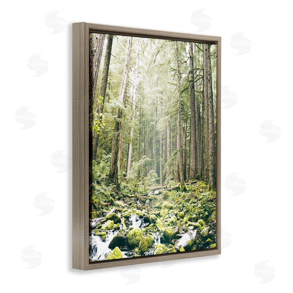 Stupell Industries Leah Straatsma | Verdant Forest Glow Wilderness