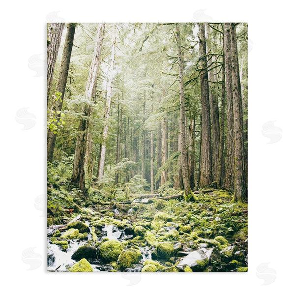 stupell industries Leah Straatsma | Verdant Forest Glow Wilderness