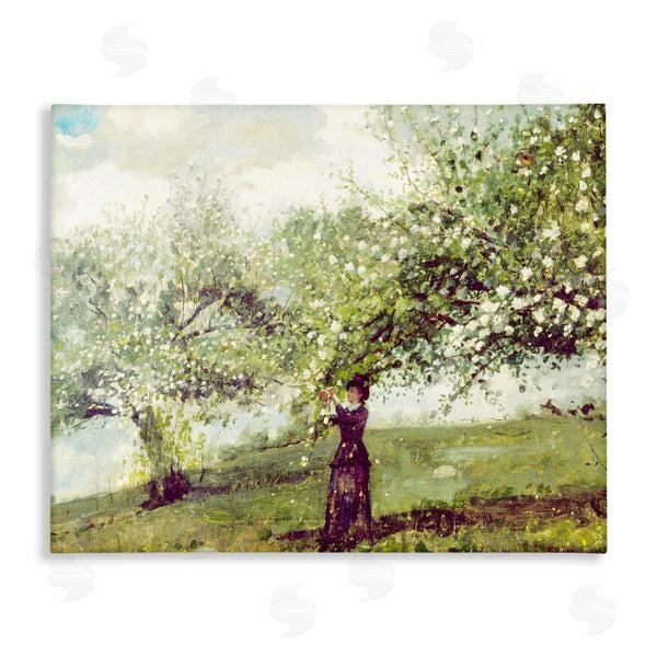 stupell industries Leah Straatsma | Vintage Gathering Blossoms