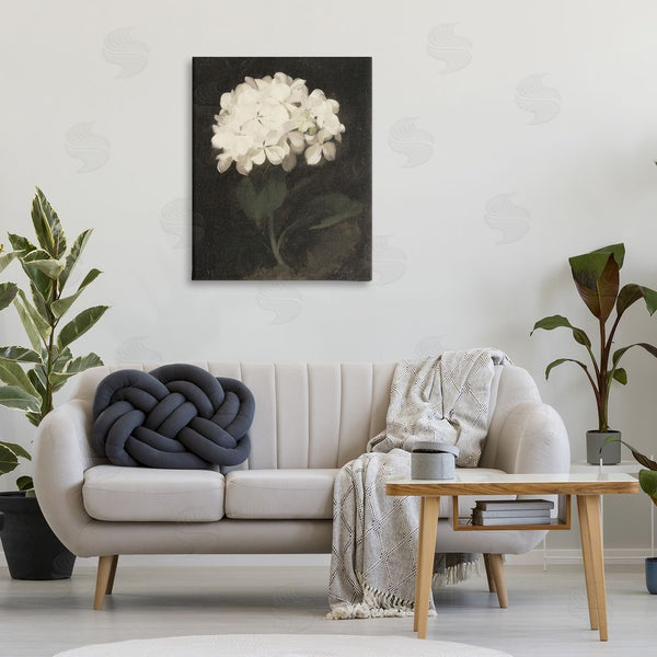Stupell Industries Leah Straatsma | White Geranium Cluster