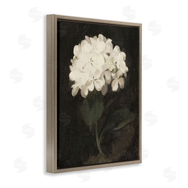Stupell Industries Leah Straatsma | White Geranium Cluster