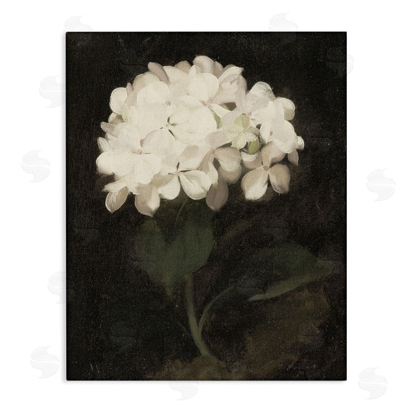 stupell industries Leah Straatsma | White Geranium Cluster