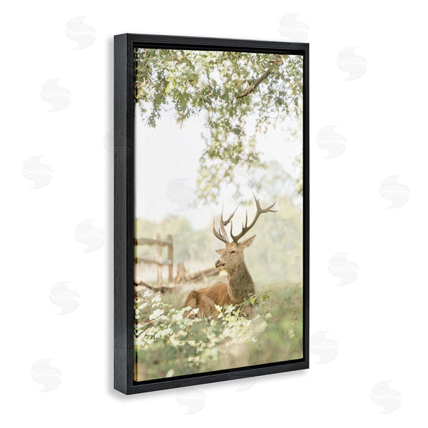Stupell Industries Leah Straatsma | White Tailed Deer Portrait