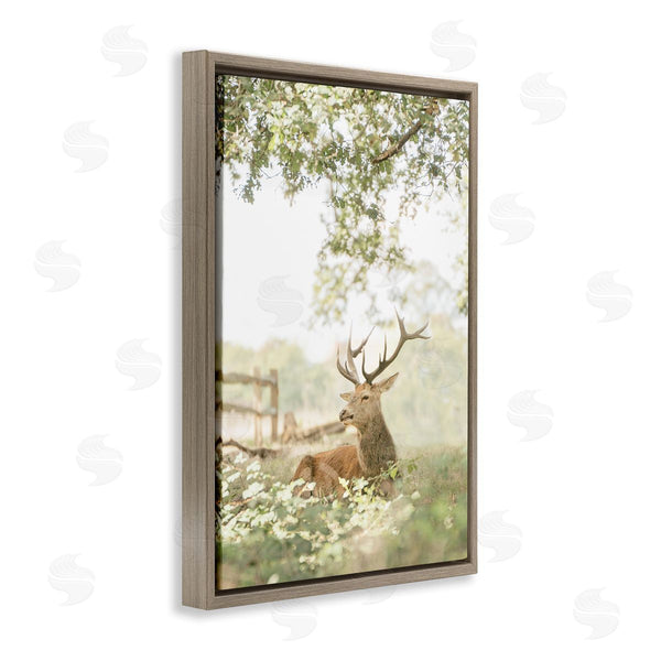 Stupell Industries Leah Straatsma | White Tailed Deer Portrait