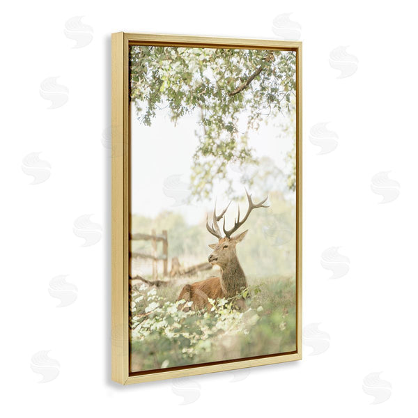 Stupell Industries Leah Straatsma | White Tailed Deer Portrait