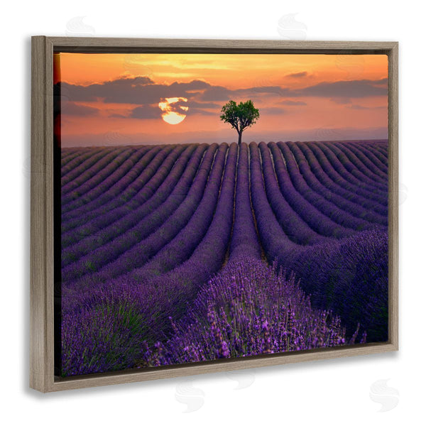 Stupell Industries Lee Sie | Lavender Flowers Warm Sunset Field