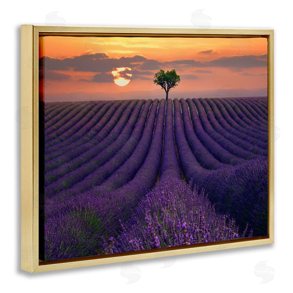 Stupell Industries Lee Sie | Lavender Flowers Warm Sunset Field