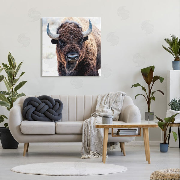 Stupell Industries Lena Owens | American Bison Photography Wall Art