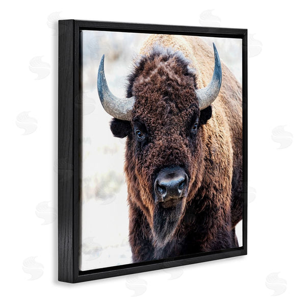 Stupell Industries Lena Owens | American Bison Photography Wall Art