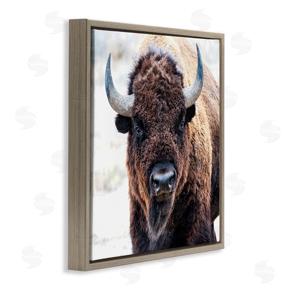 Stupell Industries Lena Owens | American Bison Photography Wall Art