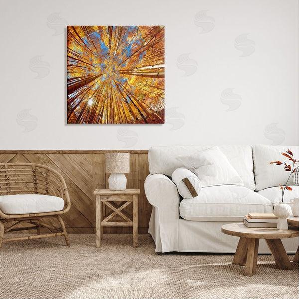Stupell Industries Lena Owens | Colorado Autumn Trees Wall Art