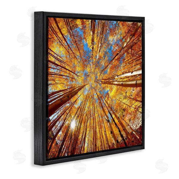Stupell Industries Lena Owens | Colorado Autumn Trees Wall Art