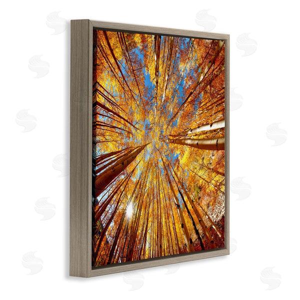 Stupell Industries Lena Owens | Colorado Autumn Trees Wall Art