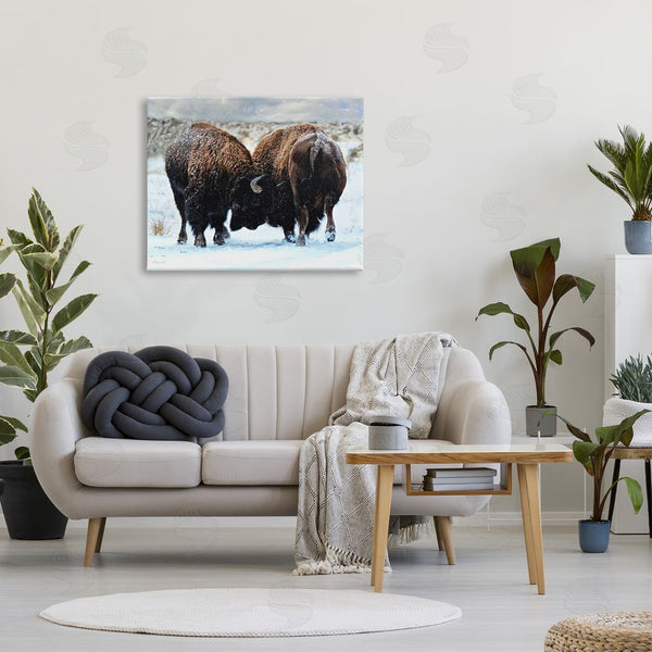 Stupell Industries Lena Owens | Fighting Bison Snow Scene Wall Art