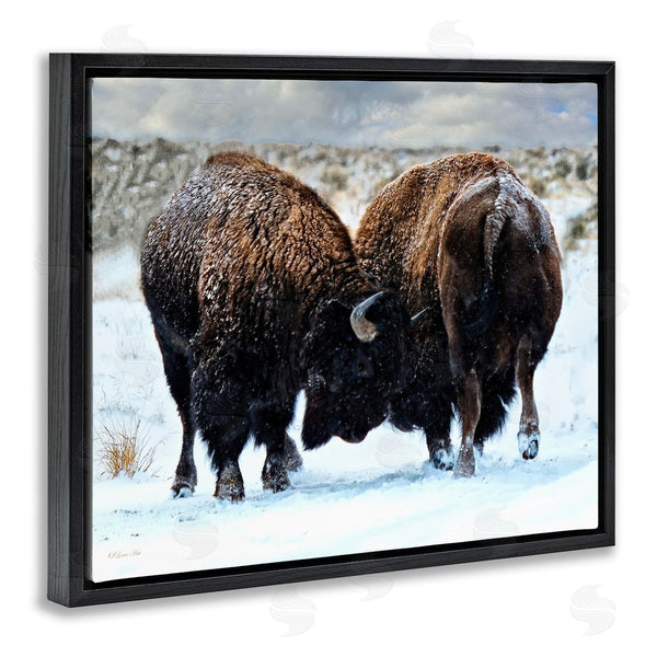 Stupell Industries Lena Owens | Fighting Bison Snow Scene Wall Art