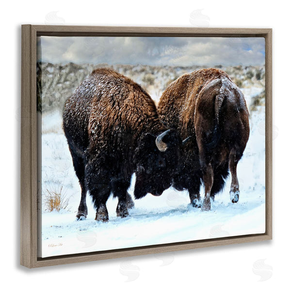 Stupell Industries Lena Owens | Fighting Bison Snow Scene Wall Art