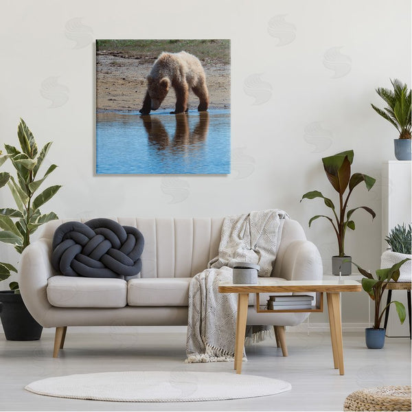 Stupell Industries Lena Owens | Grizzly Cub In Stream Wall Art