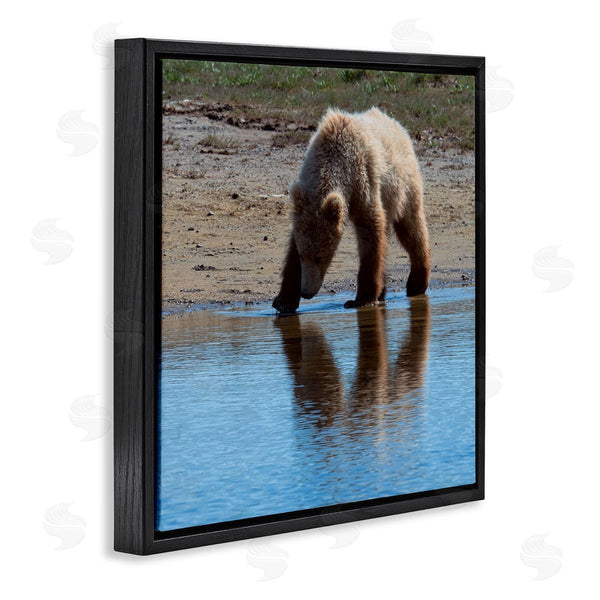 Stupell Industries Lena Owens | Grizzly Cub In Stream Wall Art