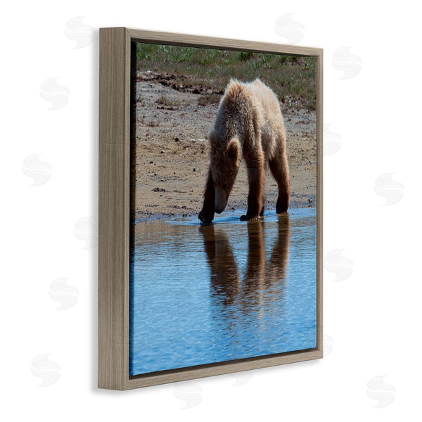 Stupell Industries Lena Owens | Grizzly Cub In Stream Wall Art