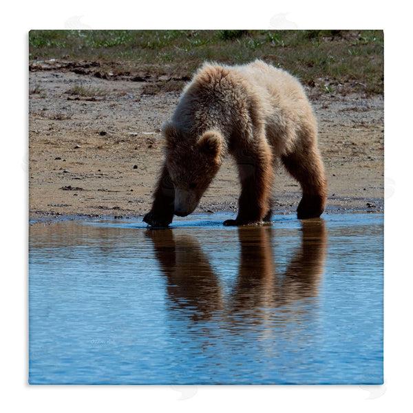 stupell industries Lena Owens | Grizzly Cub in Stream Wall Art
