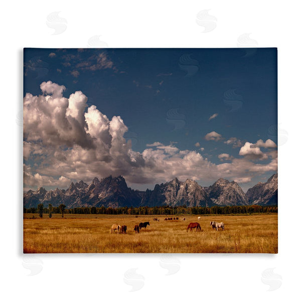 stupell industries Lena Owens | Horses Grazing Mountain View Wall Art