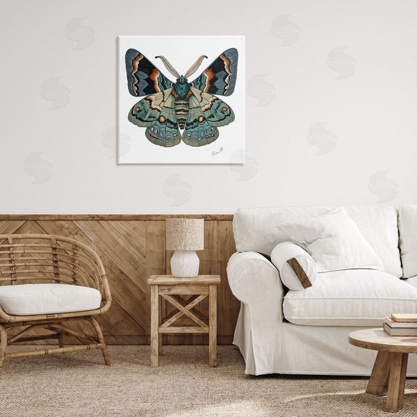 Stupell Industries Lena Owens | Symbol Of Change Moth Wall Art