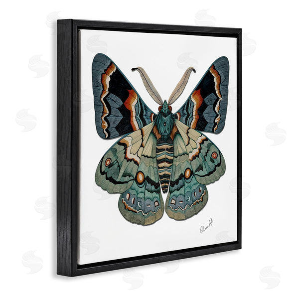 Stupell Industries Lena Owens | Symbol Of Change Moth Wall Art