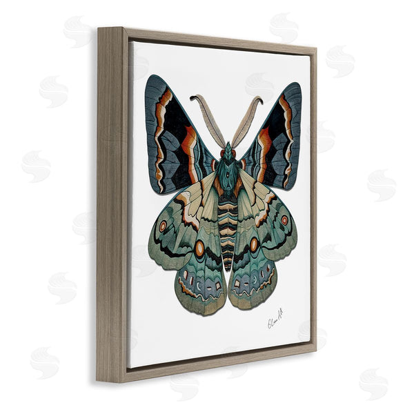 Stupell Industries Lena Owens | Symbol Of Change Moth Wall Art
