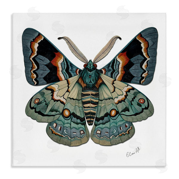 stupell industries Lena Owens | Symbol Of Change Moth Wall Art