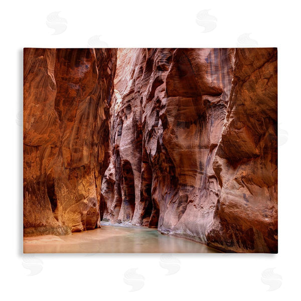 stupell industries Lena Owens | Zion Park Landscape Wall Art