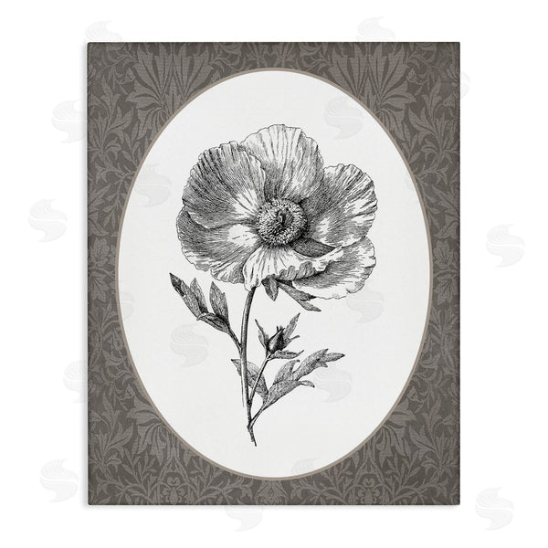 stupell industries Lettered and Lined | Anemone Sprig Vignette