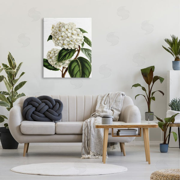 Stupell Industries Lettered And Lined | Begonia Opuliflora Flower Stem Vintage Botanical Study Wall Art