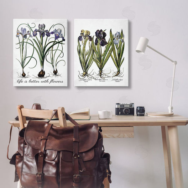 Stupell Industries Lettered And Lined | Better With Flowers Iris Bulb Wall Art