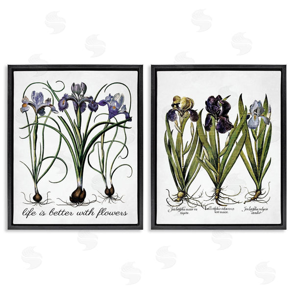Stupell Industries Lettered And Lined | Better With Flowers Iris Bulb Wall Art