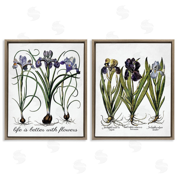 Stupell Industries Lettered And Lined | Better With Flowers Iris Bulb Wall Art