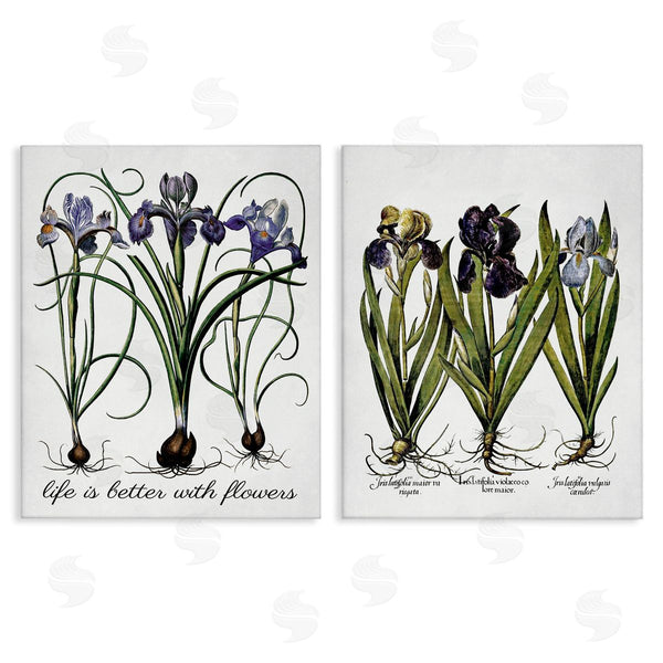 stupell industries Lettered and Lined | Better with Flowers Iris Bulb Wall Art