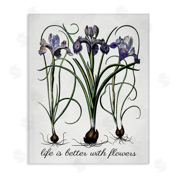 stupell industries Lettered and Lined | Better With Flowers Wall Art