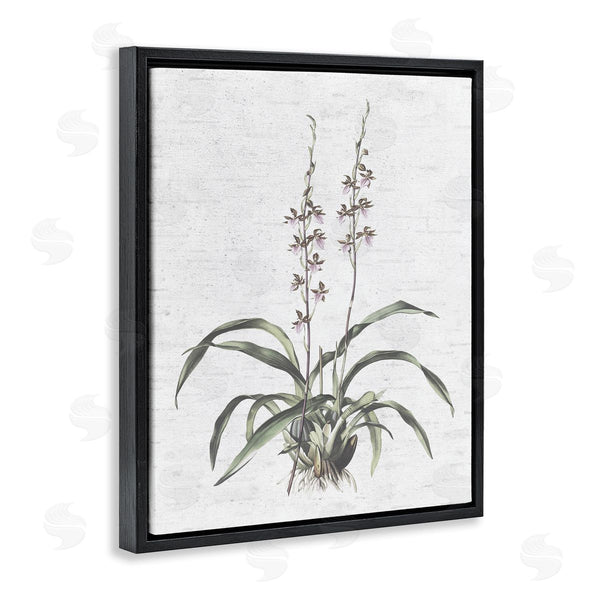 Stupell Industries Lettered And Lined | Blooming Herb Bud Wall Art