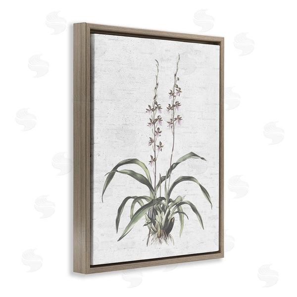 Stupell Industries Lettered And Lined | Blooming Herb Bud Wall Art