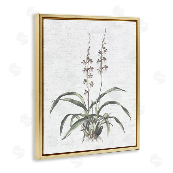 Stupell Industries Lettered And Lined | Blooming Herb Bud Wall Art