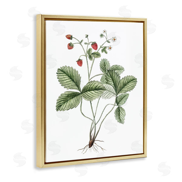 Stupell Industries Lettered And Lined | Budding Strawberries Study