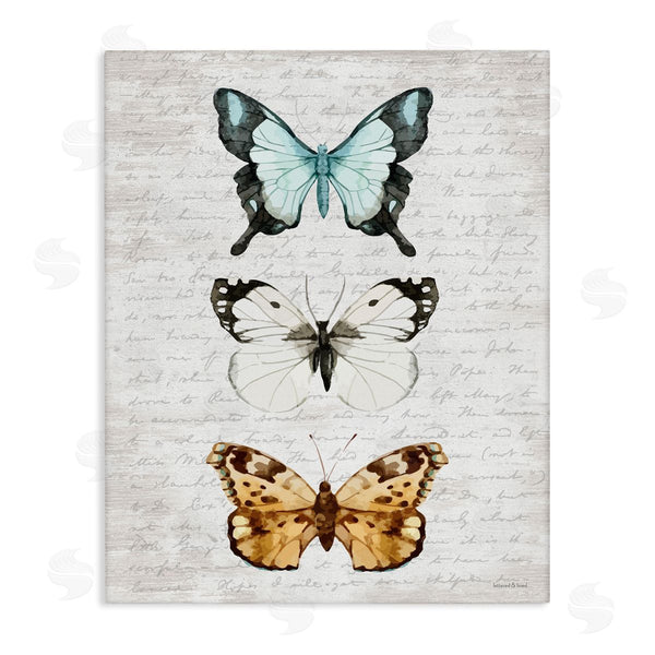 stupell industries Lettered and Lined | Butterfly Insect Collection Vintage Scripture Text Pattern Wall Art
