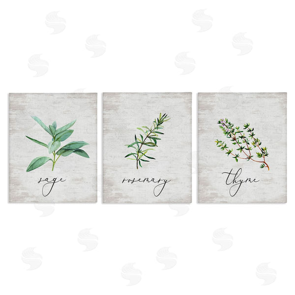 stupell industries Lettered and Lined | Charming Summer Kitchen Herbs
