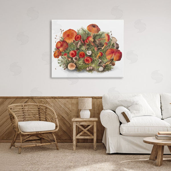 Stupell Industries Lettered And Lined | Earthy Mushroom Caps Nature Wall Art