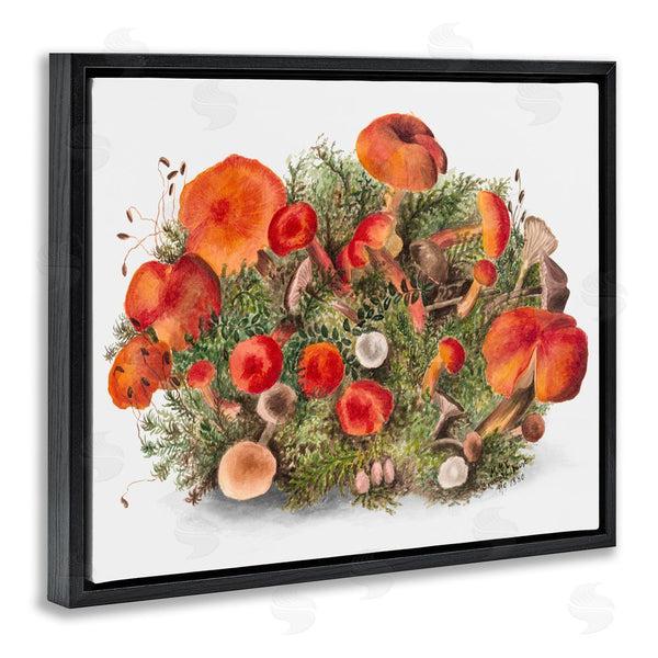Stupell Industries Lettered And Lined | Earthy Mushroom Caps Nature Wall Art