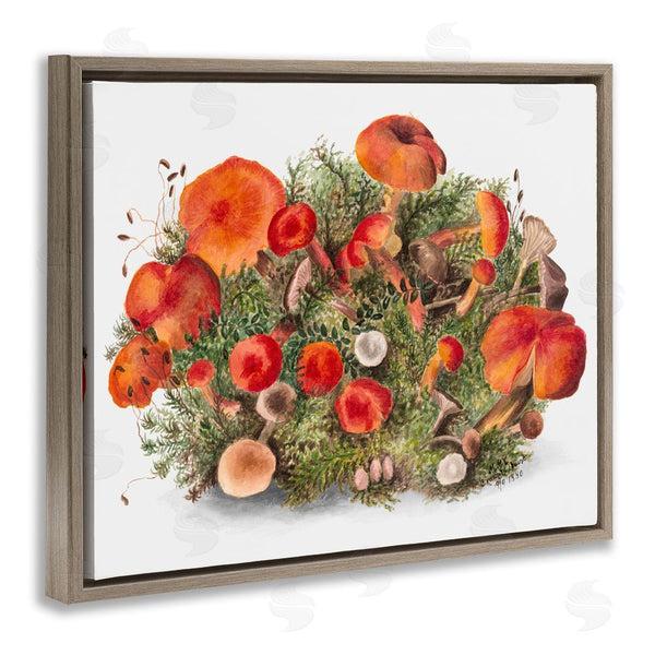 Stupell Industries Lettered And Lined | Earthy Mushroom Caps Nature Wall Art
