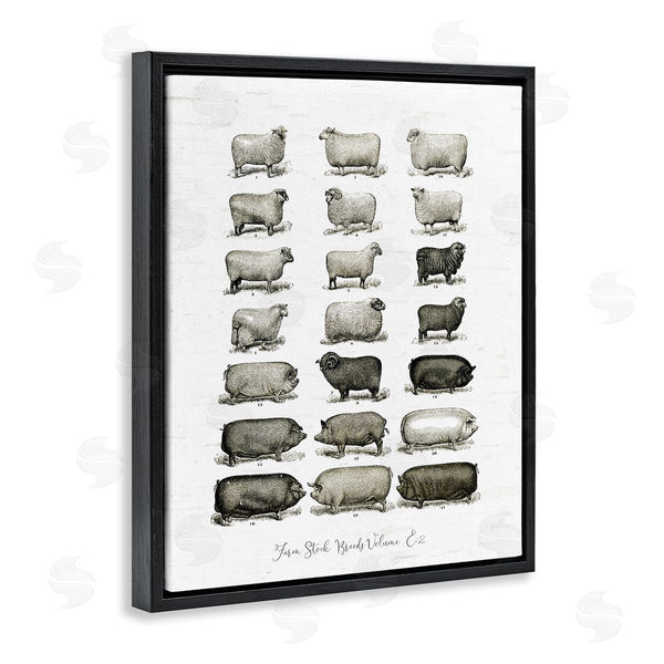 Stupell Industries Lettered And Lined | Farm Animal Breeds Pigs Sheep Diagram Chart Wall Art